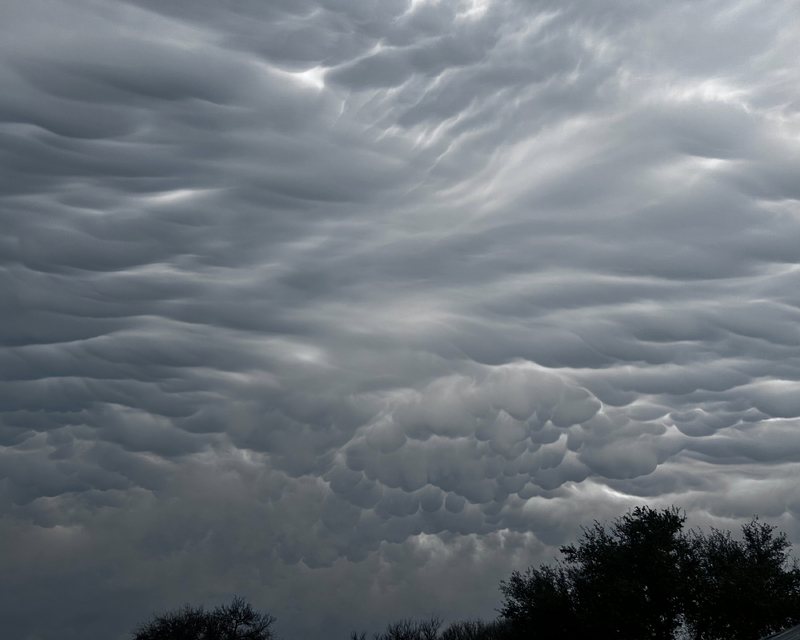 Dramatic gray clouds with a wave-like texture fill the sky, silhouetted by dark trees at the bottom.