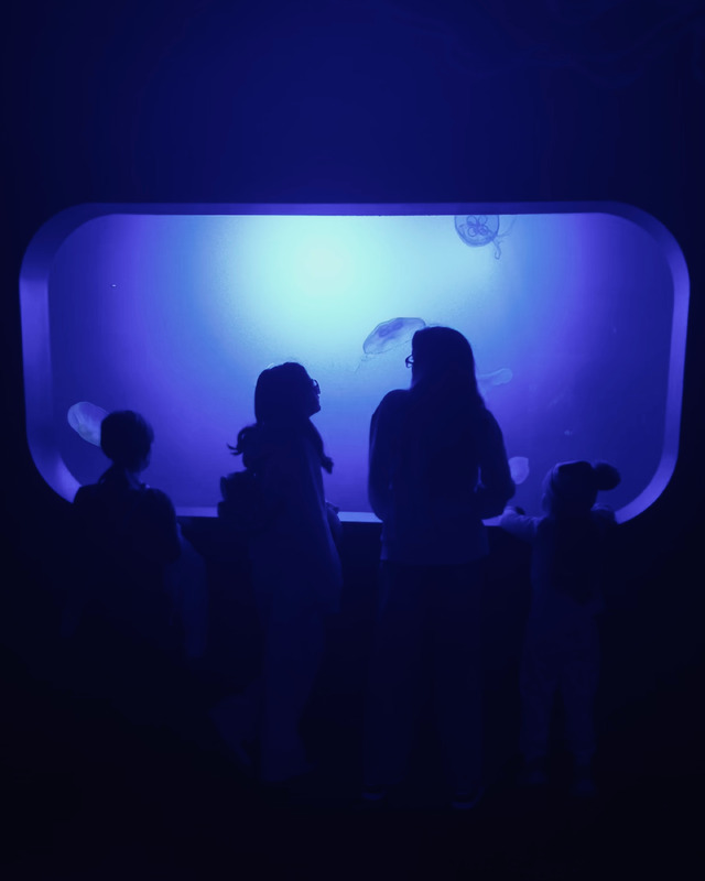 Children viewing illuminated jellyfish in a dark aquarium.