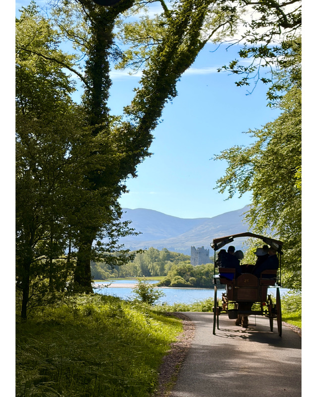 A horse-drawn carriage with passengers travels along a winding path bordered by lush trees, with a lake and distant castle in the background under a bright blue sky.