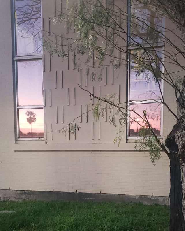 Sunlight, palm trees, and street lamp reflected in two columns of windows in a brick building. The building is painted beige and the cement foundation, grassy ground, and a nearby mesquite tree are visible in the frame. The sun is close to the horizon and the reflections are yellow, orange, and pink.