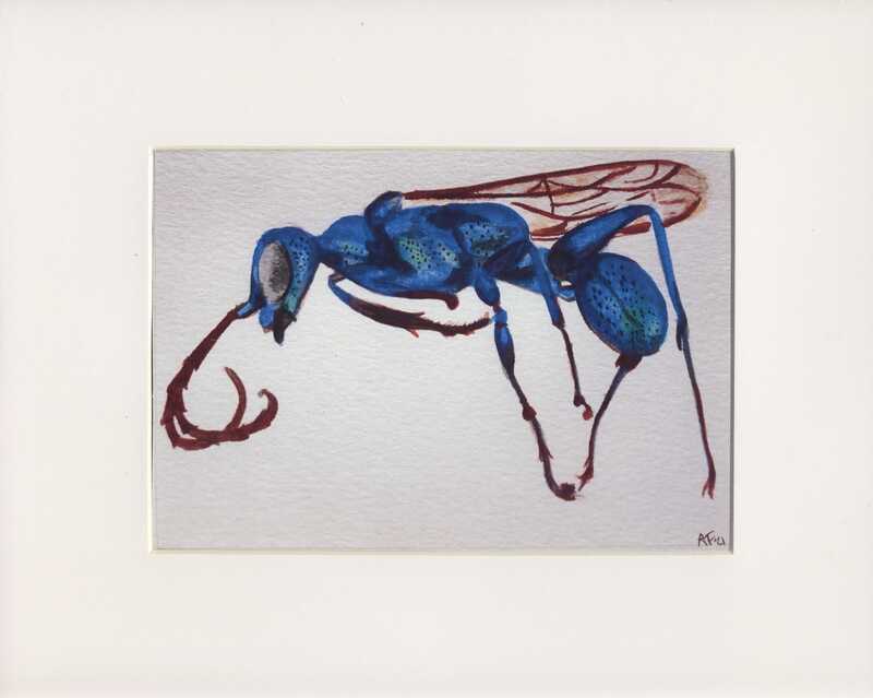 Artist: Athena Frasca. 4 by 10-inch watercolor titled Wasp. A speckled blue and green wasp is painted in a side view, the wasp is facing left. The wings and antennae are brown. The wasp fills the frame and is painted on a blank background.