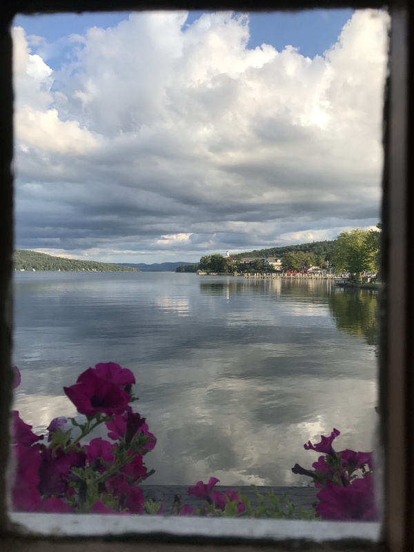 View of a calm lake through a window, with magenta flowers in the foreground and a cloudy sky above.
