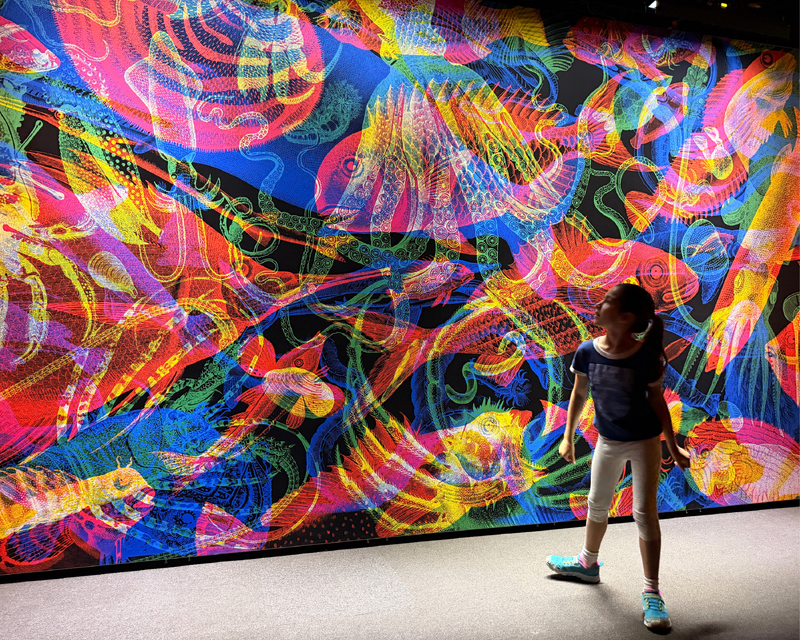 A colorful mural of marine life featuring swirls of vibrant colors, with a young girl in front looking upwards, wearing a dark t-shirt and white leggings.