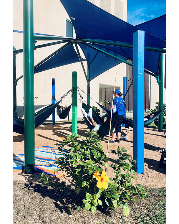 Color photograph of people relaxing in blue and green hammocks in the sunshine. A flowering bush is in the foreground.