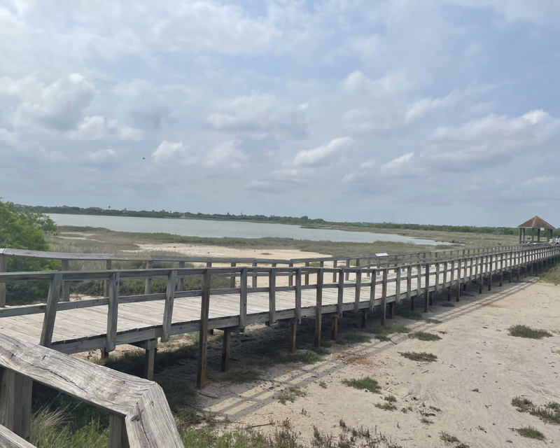 Wooden boardwalk leading through a coastal wetland, with a gazebo visible at the end, under a partly cloudy sky.