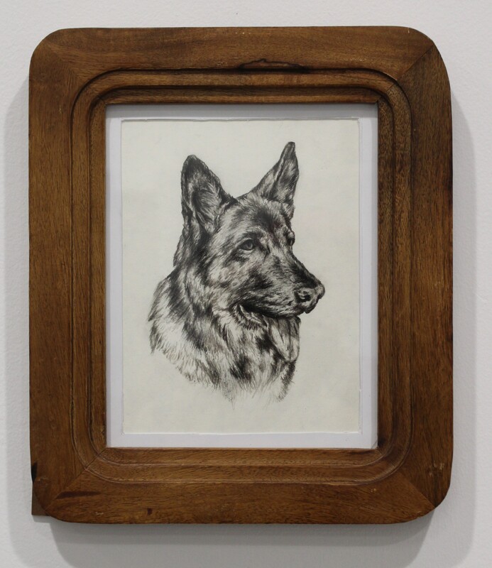 Framed pencil sketch of a German Shepherd dog in profile.
