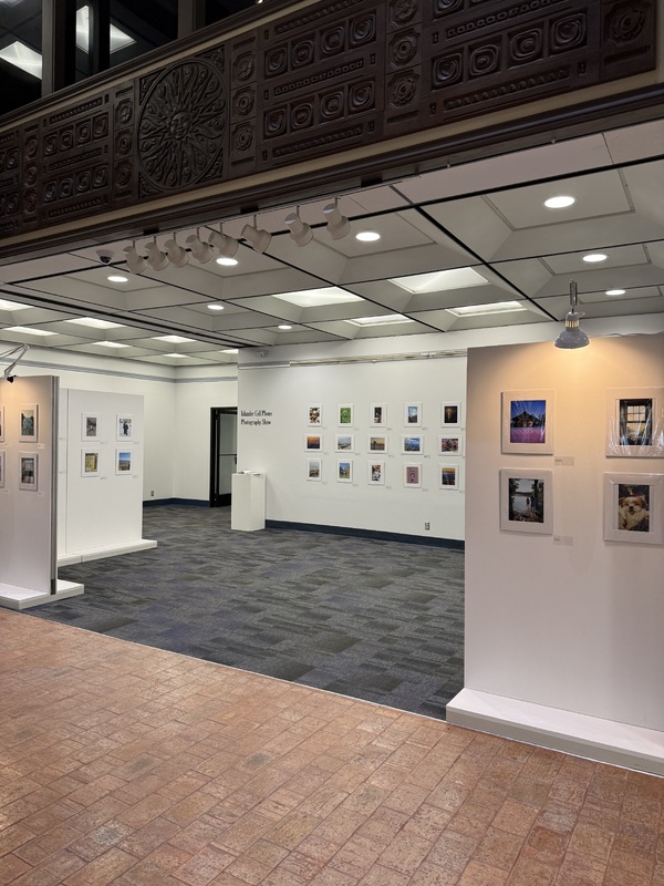 Interior view of a photographic exhibition titled "Islander Cell Phone Photography Show," featuring framed photographs on white walls with track lighting and a textured pinkish-brown floor.