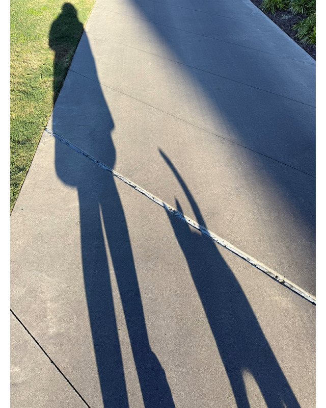 A shadow of a person and a cat on a concrete path, with green grass in the background.