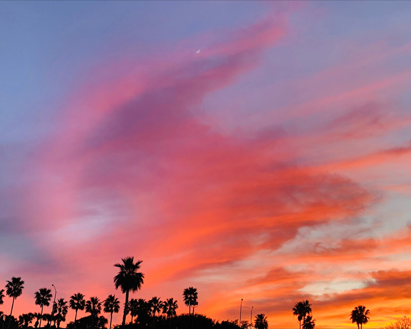 The silhouette of palm trees, street lights and other vegetation line the bottom edge of the image. The remainder of the frame is clouded sky, filled with the reflective light of the sun beneath the far horizon. The vibrant clouds are orange, red, and pink. A crescent moon can be seen high in the sky.