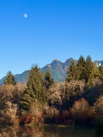 Mountain landscape with trees, a clear blue sky, and a visible moon.