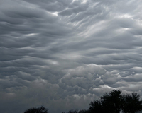 Dramatic gray clouds with a wave-like texture fill the sky, silhouetted by dark trees at the bottom.