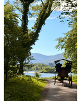 A horse-drawn carriage with passengers travels along a winding path bordered by lush trees, with a lake and distant castle in the background under a bright blue sky.