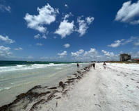 A sandy beach with white sand and dark seaweed along the shore under a blue sky with fluffy clouds. Three people walk along the beach, with buildings visible in the background.
