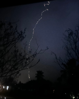 A jagged lightning bolt strikes downward in a dark, stormy sky, with bare tree branches silhouetted in the foreground.