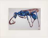Artist: Athena Frasca. 4 by 10-inch watercolor titled Wasp. A speckled blue and green wasp is painted in a side view, the wasp is facing left. The wings and antennae are brown. The wasp fills the frame and is painted on a blank background.