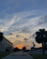 A sunset at dusk, with buildings and palm trees in the foreground. The clouds and sky close to the horizon are orange and gold, while higher, wispy clouds are still white in the blue sky.