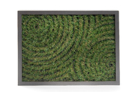 Green grass in a circular pattern, image 3.