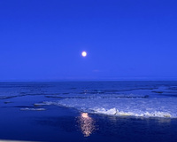 Nighttime seascape with a full moon reflecting on the ocean, surrounded by floating ice.