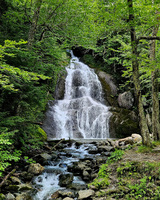 Waterfall cascading over rocks surrounded by dense green foliage and trees.