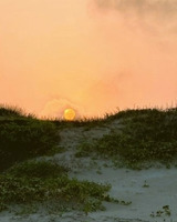 A sand dune extends to the horizon line, covered in vegetation. The sun rests near the horizon line and the sky beyond is orange and pink.