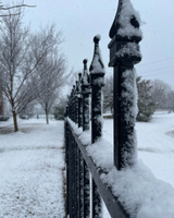Black metal fence covered in snow with bare trees in the background.