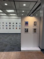 Interior view of a photographic exhibition featuring framed photographs on white walls.