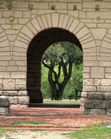 Stone archway with view of a tree and greenery.