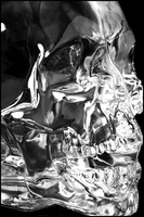 Black and white image of a glass skull.
