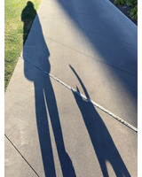 A shadow of a person and a cat on a concrete path, with green grass in the background.