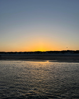 Beach scene at sunset with rippling water, orange sky, and a silhouetted bird.