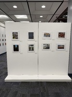 Interior view of a photographic exhibition featuring framed photographs on white walls.