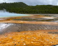 Colorful hot spring with orange and brown mineral deposits, a bluish-white steam, and a forested hill in the background.