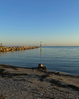 A rock jetty is visible from a calm shoreline. Seaweed and rocks are visible in the foreground. Shorebirds perch on pilings. The far shore is faintly visible on the horizon.