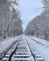 A tree lined clearing opens to a snow covered railroad track. The view is from the center of the track with the rails converging on the horizon, directly away from the viewer. The sky is clouded and grey.