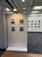 Interior view of a photographic exhibition featuring framed photographs on white walls.