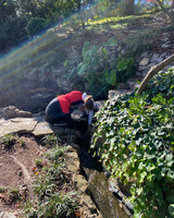 Two figures crouch above a small creek running underneath a stone pathway.  One figure has on a hooded coat, the second is extending a hand toward the water's surface. The pathway extends from left to right. The right end of the path turns into stone steps leading up an embankment. The right side of the embankment is covered in vegetation and trees are visible further in the frame. The bank on the left side of the creek is bordered with stone and has clusters of grasses and exposed soil. The sunlight creates misty rainbows that cross the image diagonally in the top left of the frame.