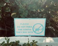 A sign warning not to feed coatis, featuring a crossed-out coati illustration, surrounded by green foliage.