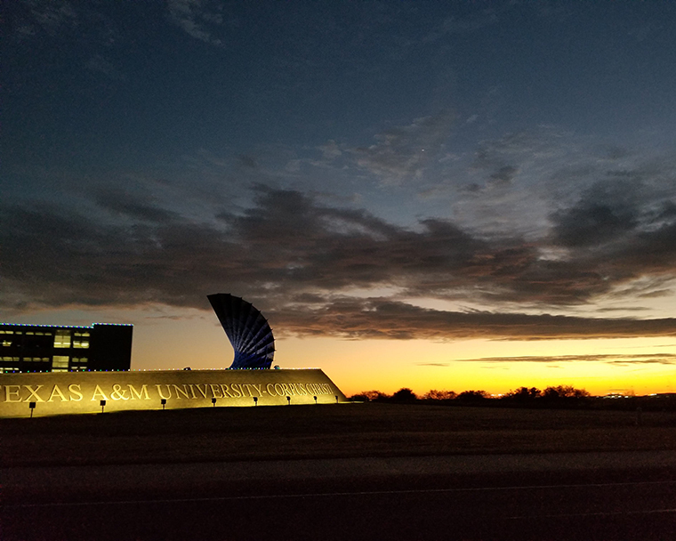 Color photograph of a sunset over the entrance sign to Texas A&M University-Corpus Christi. The entrance and building in the background are lit for winter holidays.