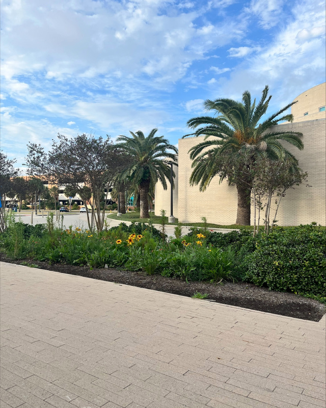 Palm trees and a garden bed with yellow flowers in front of a beige brick building.