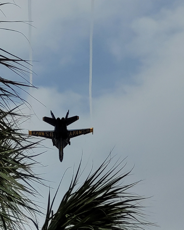 Jet flying overhead with "US NAVY" on wings, exhaust trails in sky, framed by palm fronds.