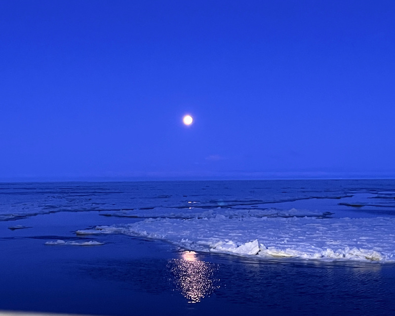 Nighttime seascape with a full moon reflecting on the ocean, surrounded by floating ice.
