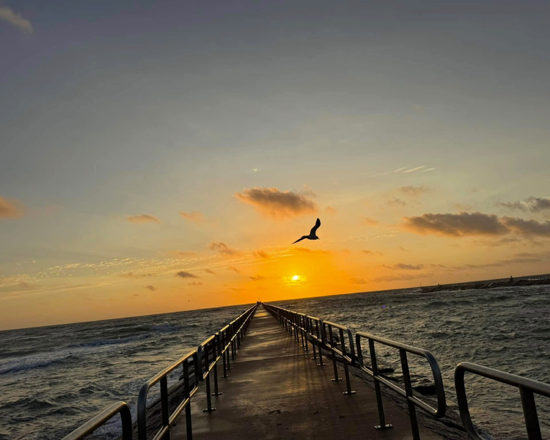 Pier extending into the ocean at sunset with a bird flying in the sky.