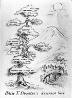 Research tree of Japanese flower arrangement