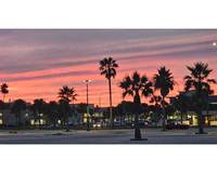 Silhouettes of palm trees against a vivid pink and orange sunset sky.