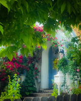 Entrance of a house with a blue door, surrounded by greenery and pink flowers.