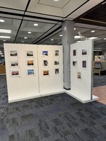 View of the Cell Phone Photography Show at the Mary and Jeff Bell Library in 2025