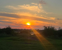 Sunset over a grassy landscape with clouds and distant silhouettes.