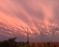 Pink and orange sunset sky with wavy clouds and power lines.