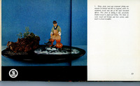Page from a book showing a model of a fisherman beside a rock and plant arrangement, paired with text about historical cormorant fishing practices in Europe, Japan, and China.