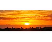Sunset with orange and red sky above silhouetted trees and buildings.